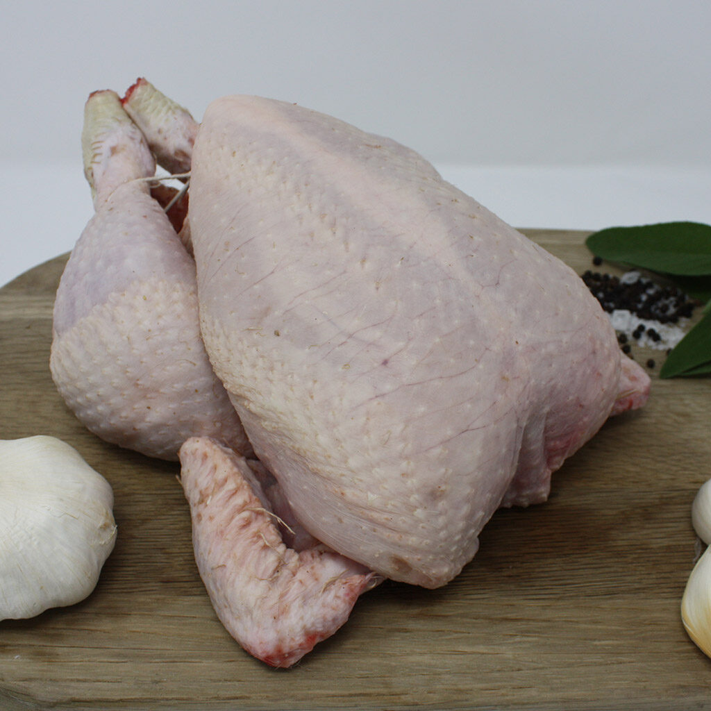 A free range Chicken