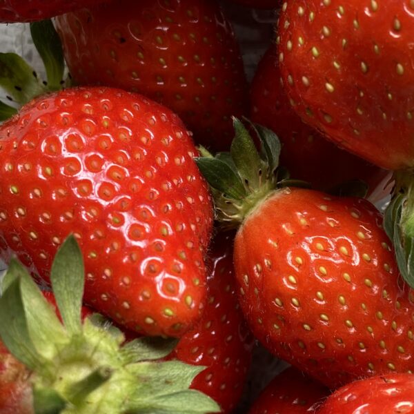 Local Strawberries