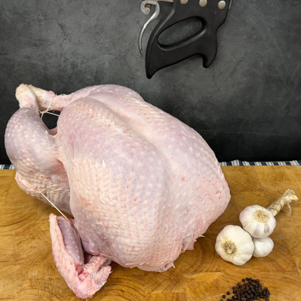 White Local Turkey