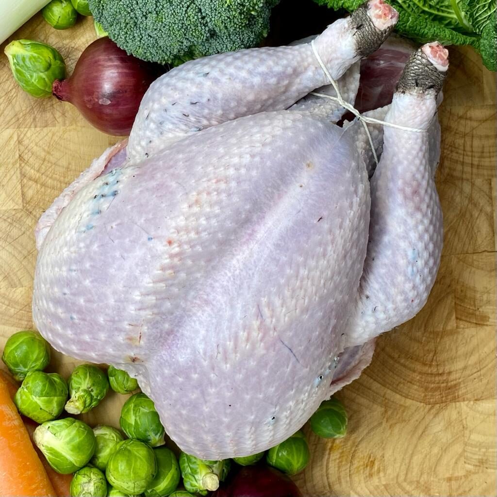 bronze local free range turkey